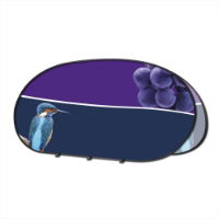 Horizontal oval pop-out banner with a purple top, dark blue bottom, grapes, and a kingfisher.