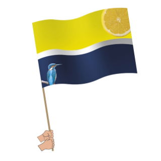 Large Handwaving Flags