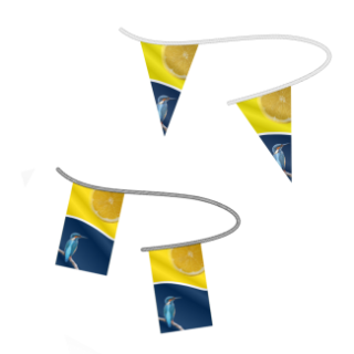 Custom Bunting Flags