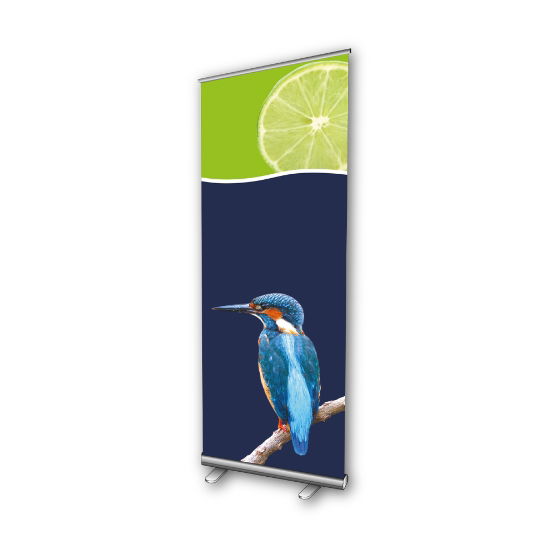 Custom Roller Banners