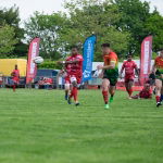 Sports Branded Feather Flags